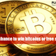 Illustration for article titled Your chance to win bitcoins or free spins at Playamo Casino!em/em